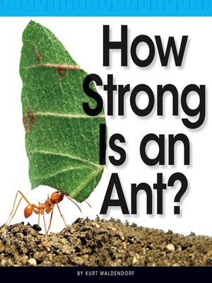 cover image of How Strong Is an Ant?